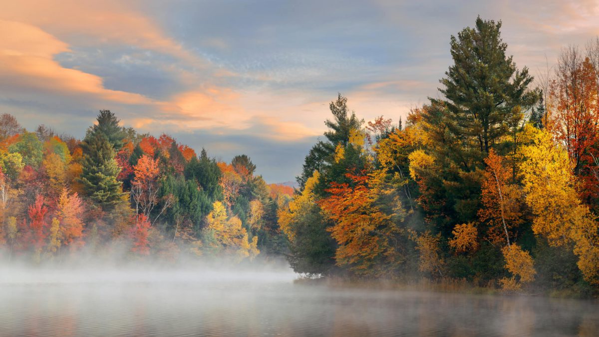 Seasons