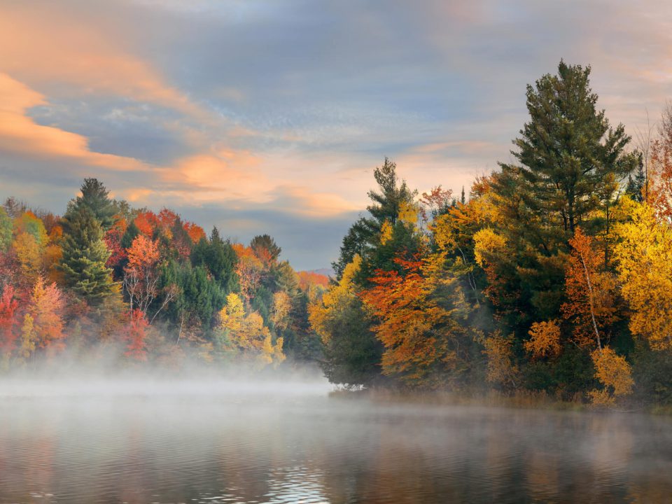Seasons