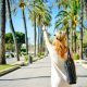 traveling